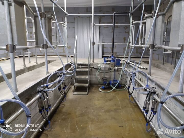 Доильный зал Ёлочка 2х4