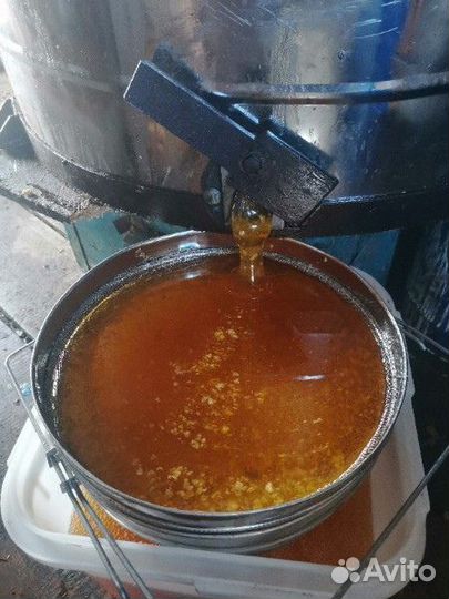 Васильковый мёд оптом