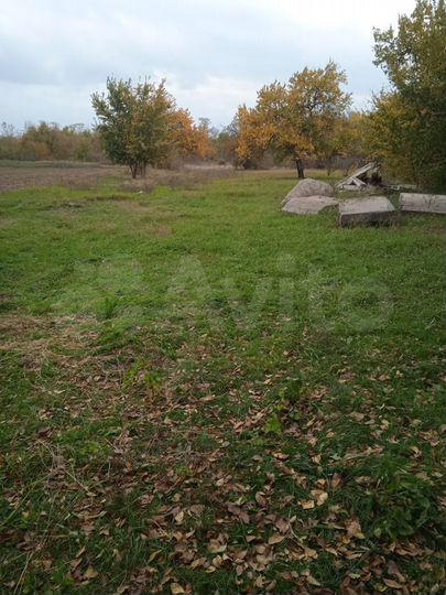 Участок 38 сот. (СНТ, ДНП)