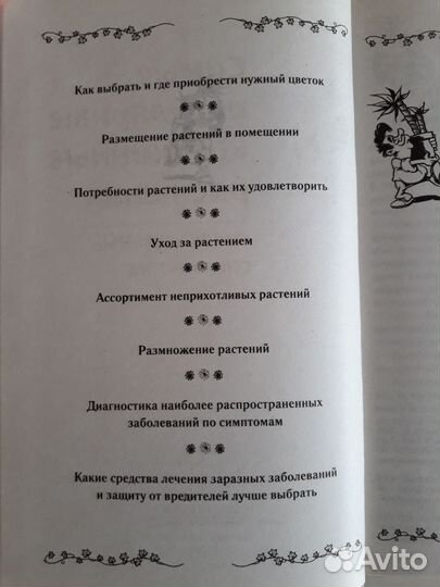 Самые популярные комнатные растения