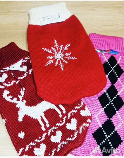 Одежда для собак