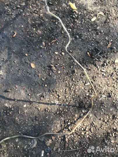 Топливная трубка Renault Kangoo 1 F8QK630 1.9 Л