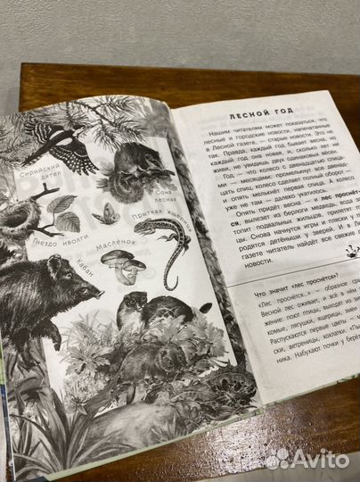 Бианки В. Лесная газета