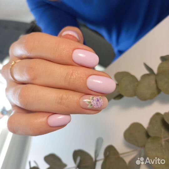 Ясный берег 5