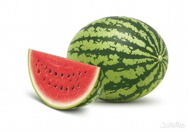 Арбузы с поля