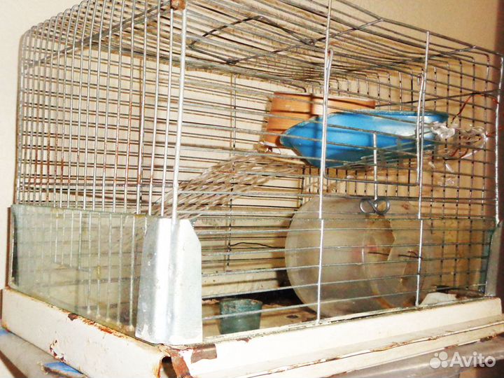 Старая клетка для птиц или хомяков