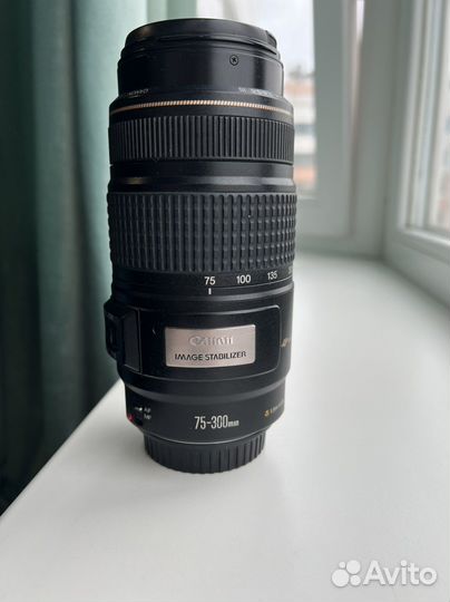 Canon EF 75-300mm f/4-5.6 IS USM