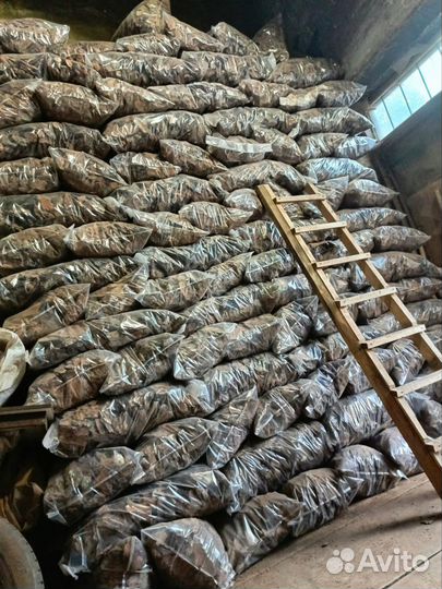 Кора сосны мульча