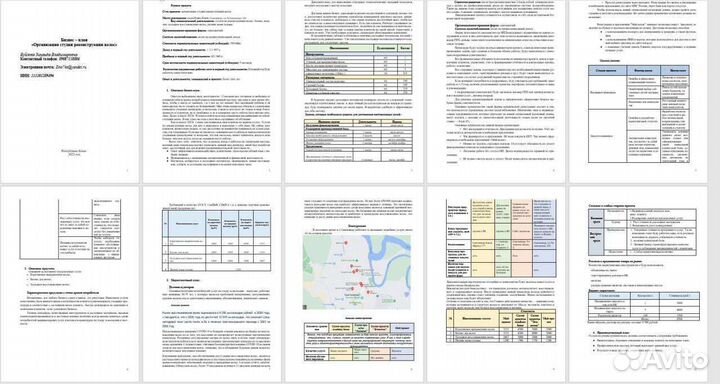 Бизнес-план для соцконтракта