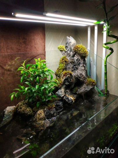 Аквариум палюдариум