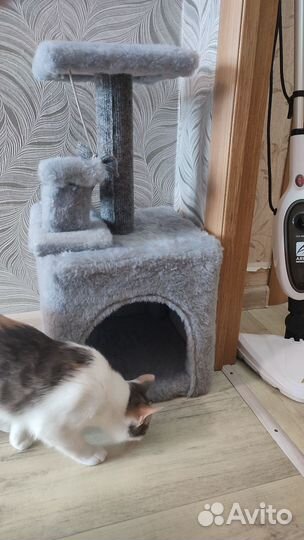 Когтеточка для кошек