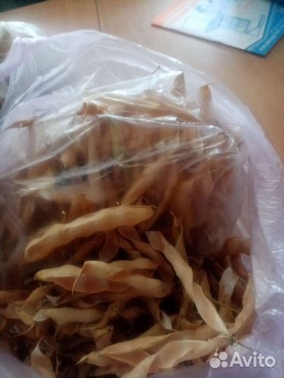 Створки от фасоли высушенные от сахарного диабета