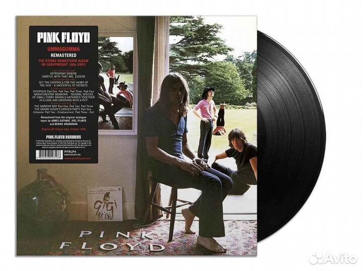 Pink floyd - Ummagumma