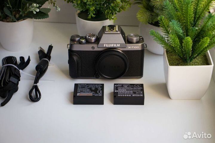 Fujifilm X-T100