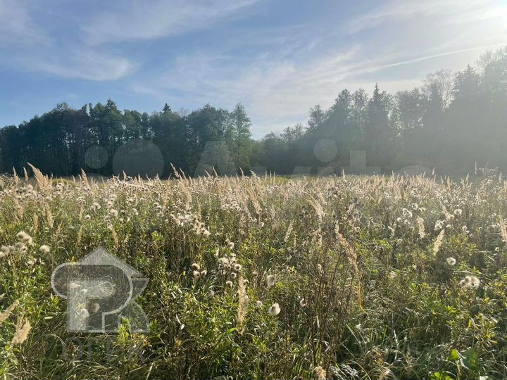 Участок 1,2 га (СНТ, ДНП)