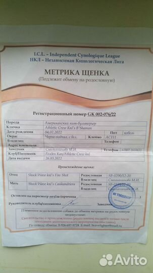 Вязка собак