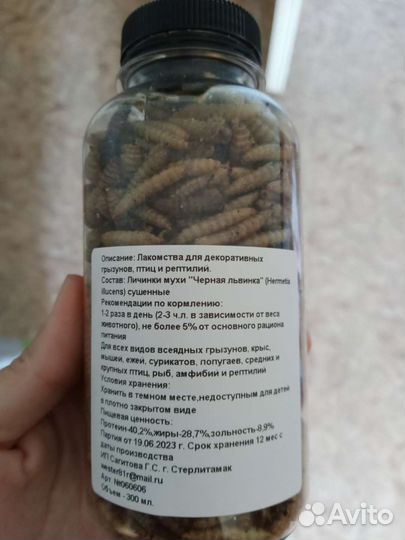 Чёрная львинка