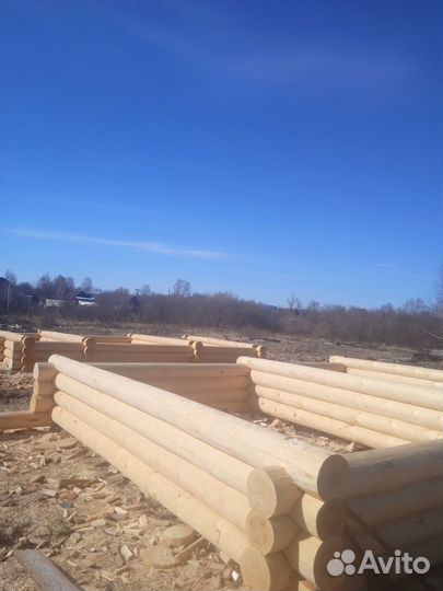 Срубы из зимнего леса