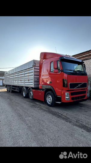 Зерновозы перевозка