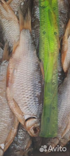 Астраханская вобла вяленая, рыбец