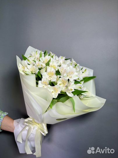Альстромерия