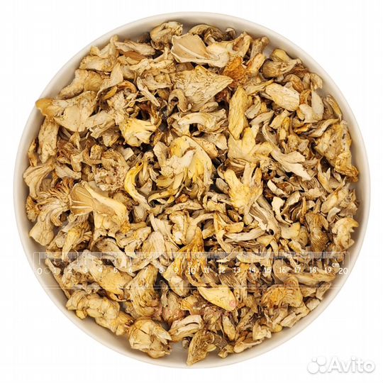 Вешенка сушеная Россия