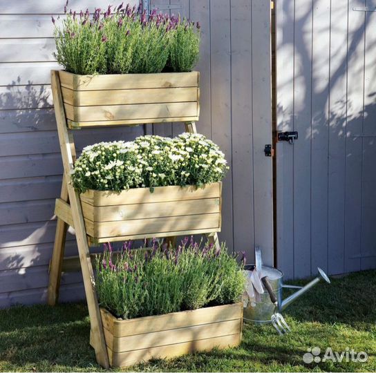 Оформление лекарственно- пряных грядок