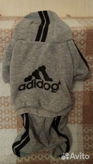 Костюм для собак