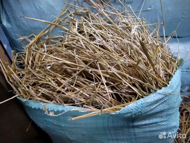 Солома и сено 2023г Новый урожай