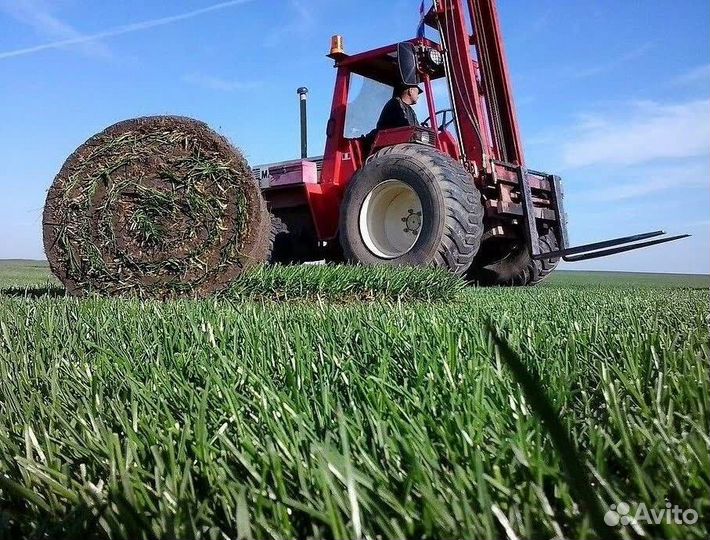 Рулонный газон с доставкой