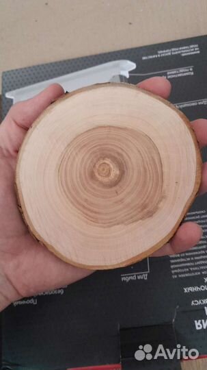 Торцевые спилы деревьев