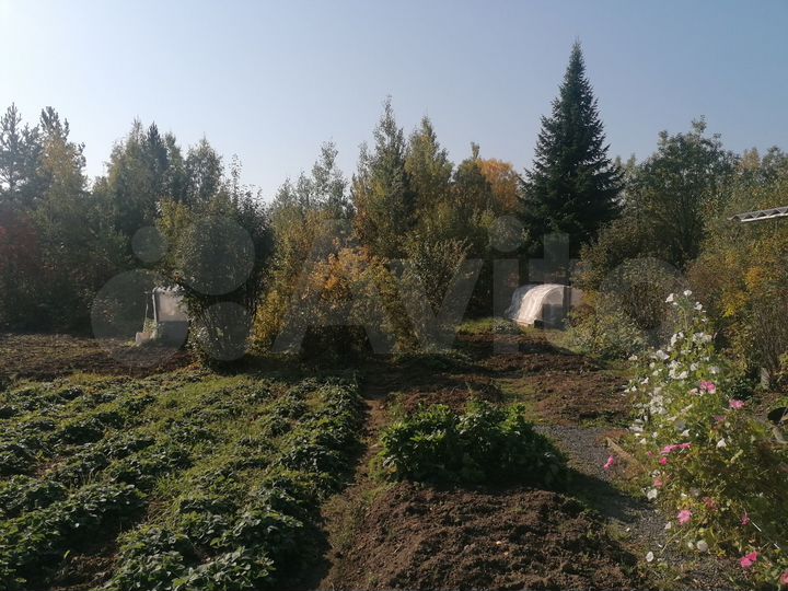 Участок 8 сот. (СНТ, ДНП)