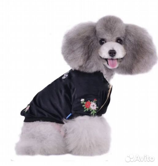 Кофта для собак мелких пород