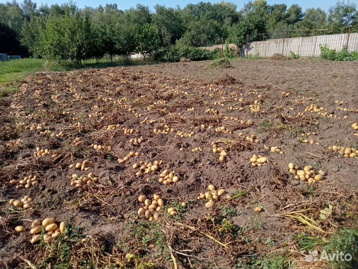 Продаю свое