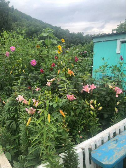 Дача 20 м² на участке 11 сот.