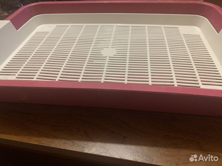 Лоток для котят