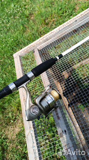 Спиннинг на щуку