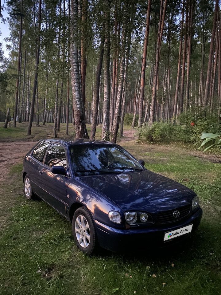 Toyota Corolla: фото владельца