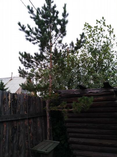 Участок 6 сот. (СНТ, ДНП)