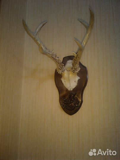 Медальон для рогов