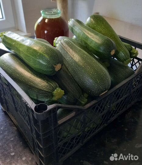 Кабачки свежие