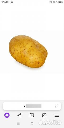 Картофель,овощи на корм животным