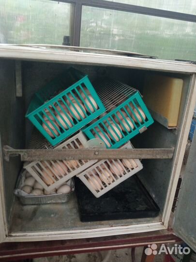 Инкубатор бу