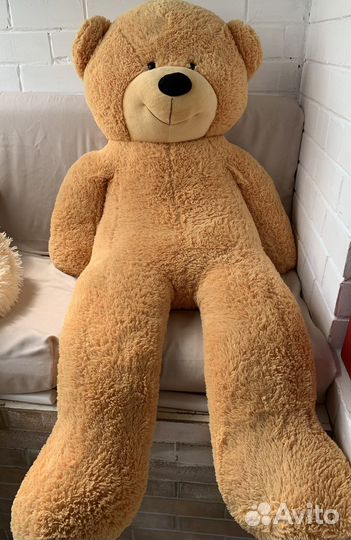 Большие плюшевые медведи