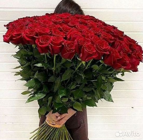 Розы Высокие 150см 160см 170см 180см 190см 2м