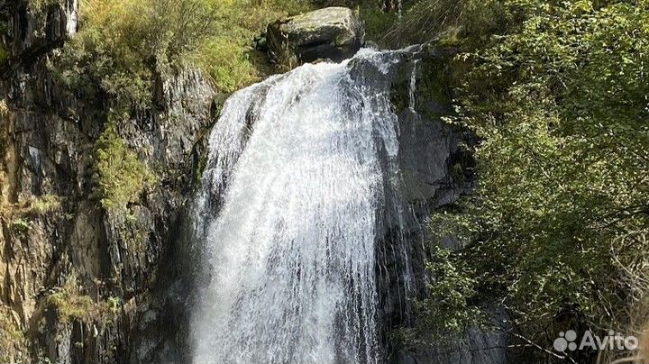 Турпутевка на Алтай летний экспедиция 5-9 дн