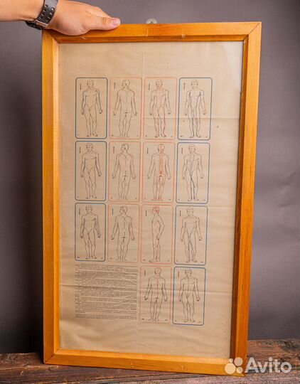 Медицинский плакат в рамке