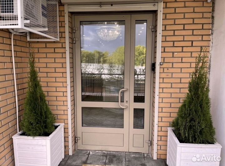 Туи колумна