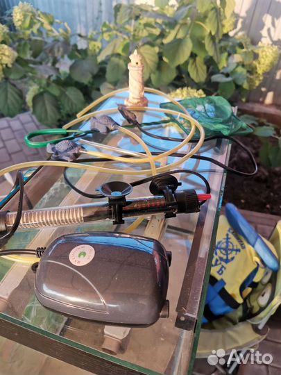 Аквариум на 50 литров