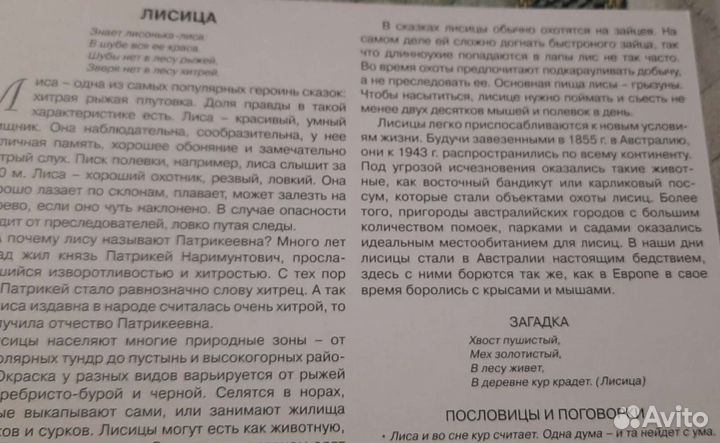 Детям о лесных животных